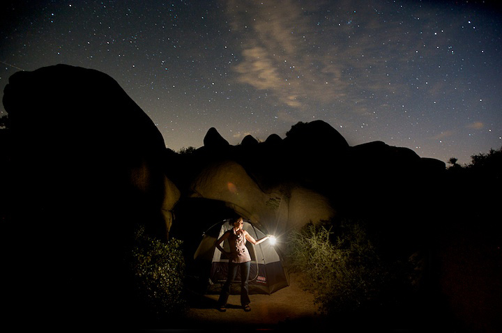 2009-05-22-joshua-tree-013-a