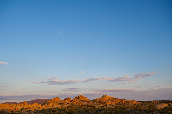 2009-05-22-joshua-tree-049