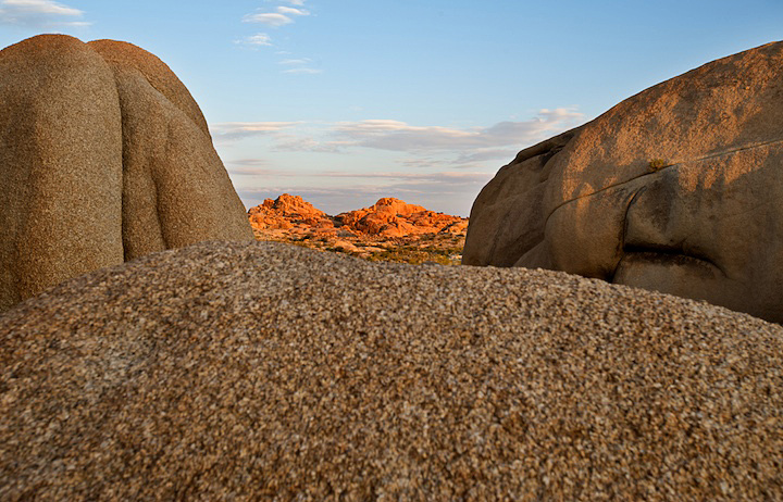 2009-05-22-joshua-tree-077