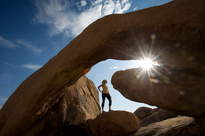 2009-05-22-joshua-tree-235