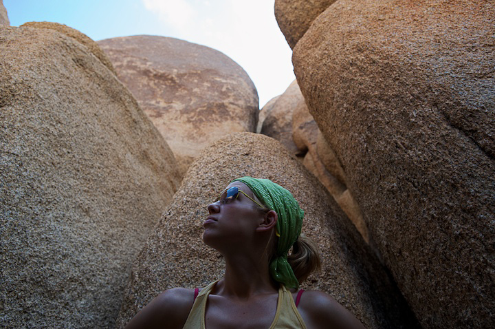 2009-05-22-joshua-tree-280