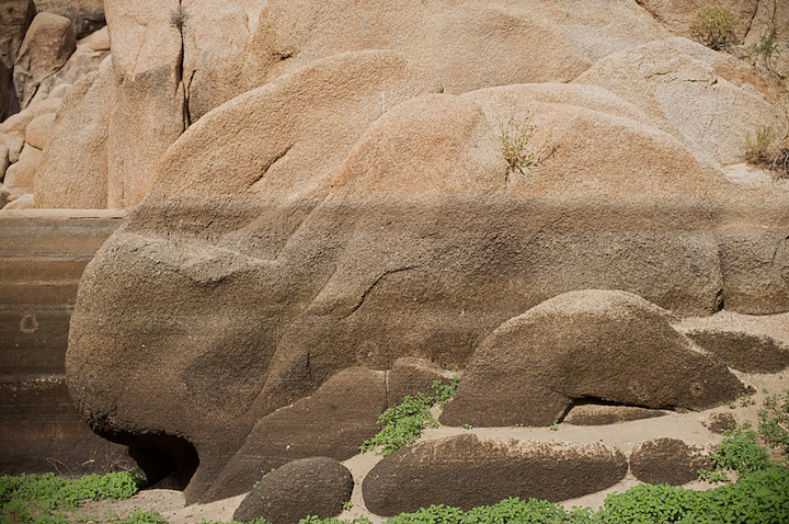 2009-05-22-joshua-tree-336