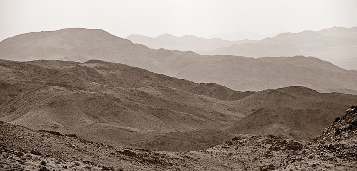 2009-05-22-joshua-tree-356