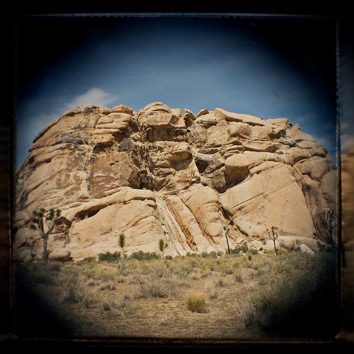 2009-05-22-joshua-tree-393