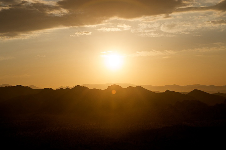 2009-05-22-joshua-tree-552