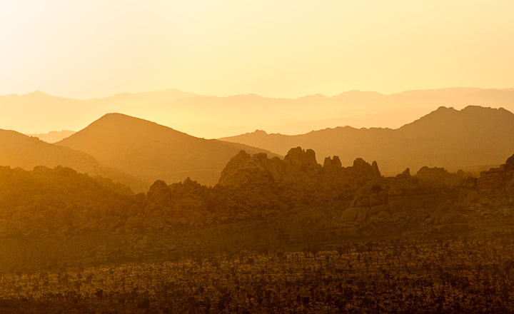 2009-05-22-joshua-tree-554