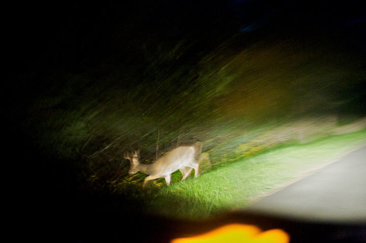 2009-09-11-bar-harbor-016