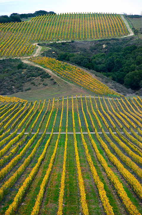 2009-11-12-wine-country-193