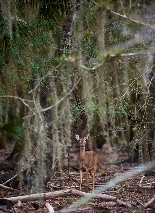 2009-12-06-sarasota-1038