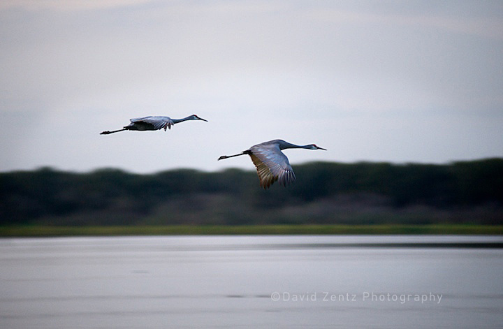 2009-12-06-sarasota-1125