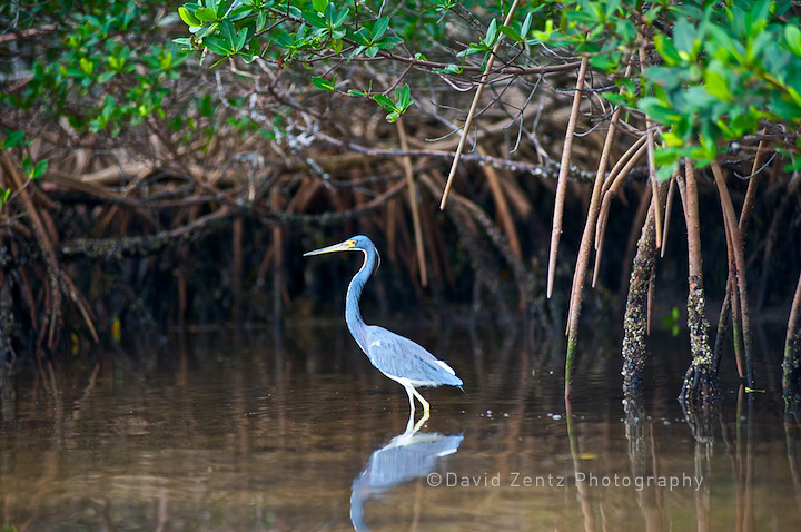 2009-12-07-sarasota-1327