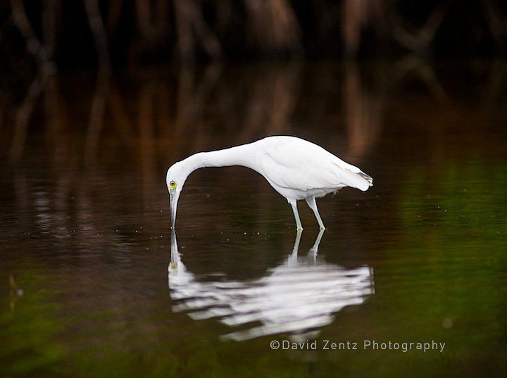 2009-12-07-sarasota-1476