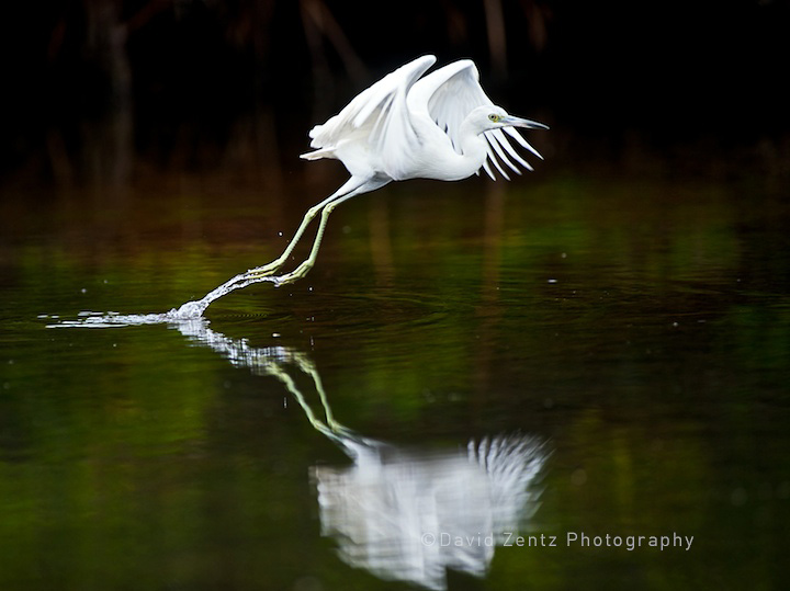 2009-12-07-sarasota-1480