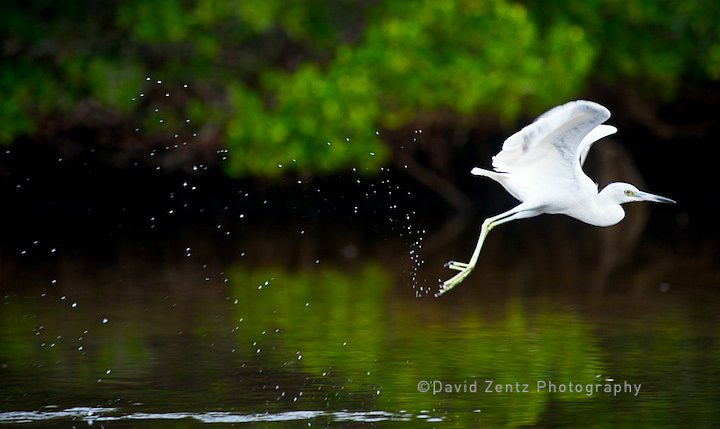 2009-12-07-sarasota-1481