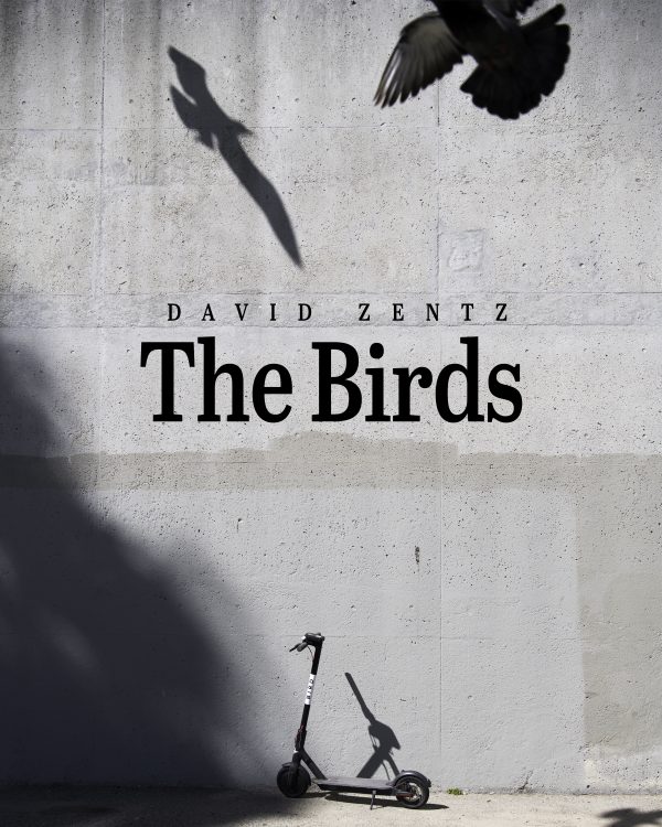 The Birds photography book