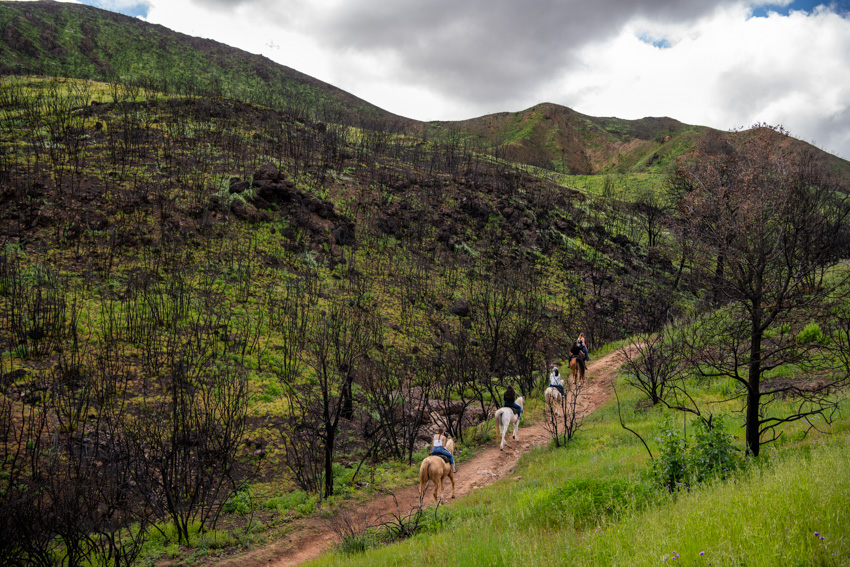 Published Work - Woolsey Fire - National Parks Magazine