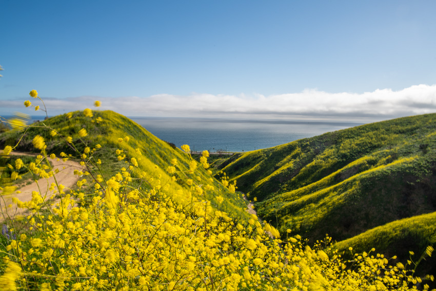 Published Work - Woolsey Fire - National Parks Magazine