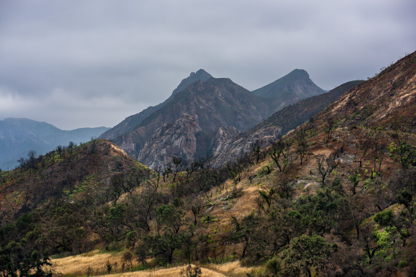 Published Work - Woolsey Fire - National Parks Magazine