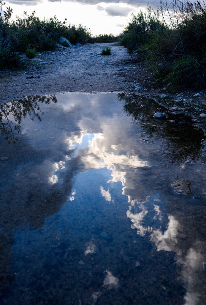 Tujunga Wash rain