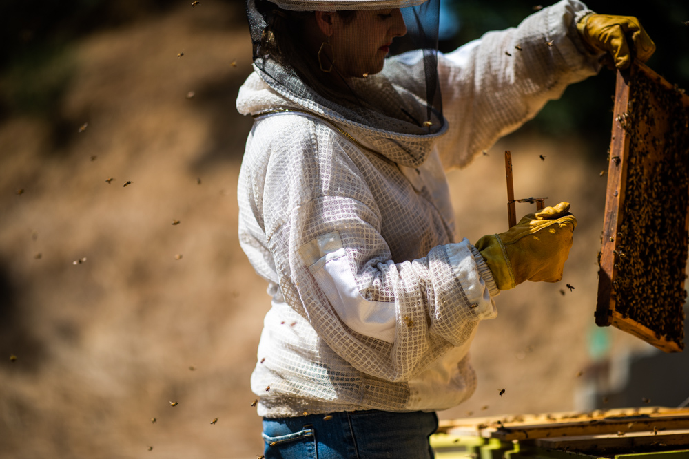 Los Angeles Beekeeper - Portrait and Lifestyle Photography