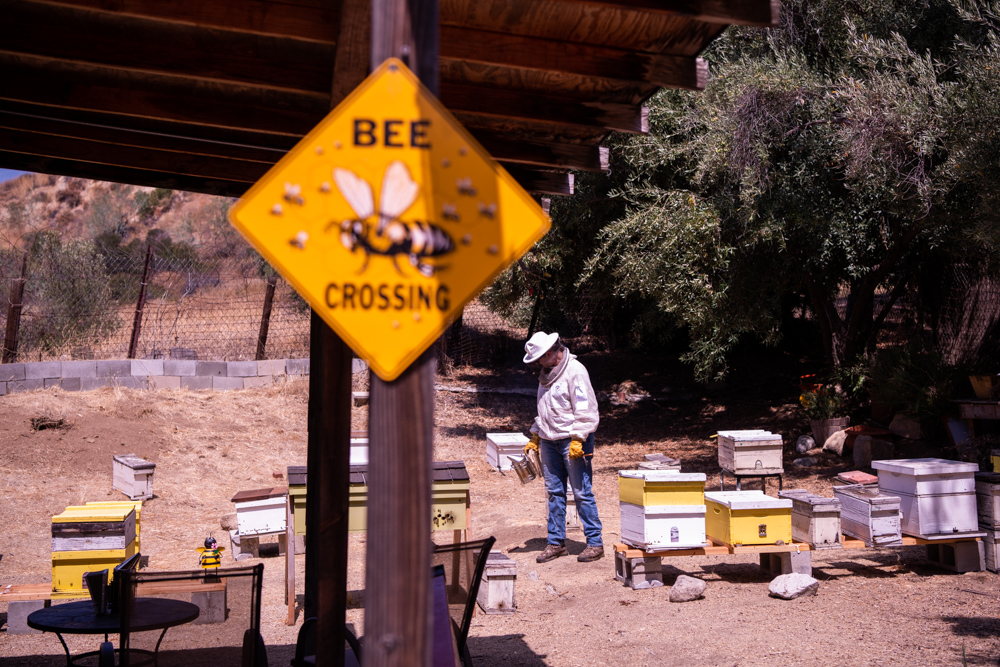 Los Angeles Beekeeper - Portrait and Lifestyle Photography