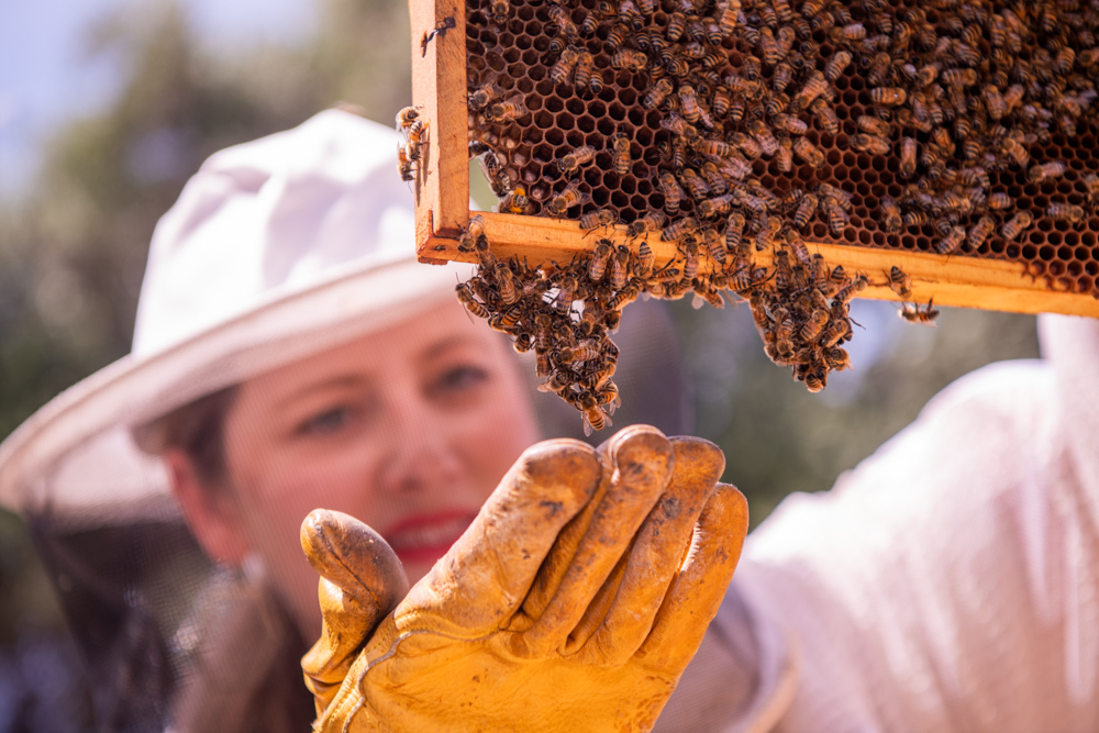 Los Angeles Beekeeper - Portrait and Lifestyle Photography