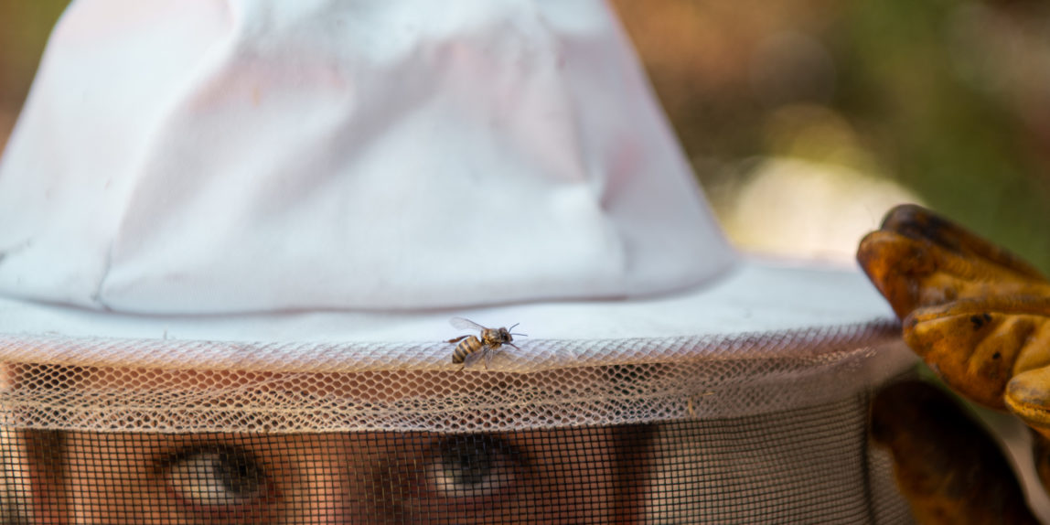 Beekeeper Los Angeles Portrait