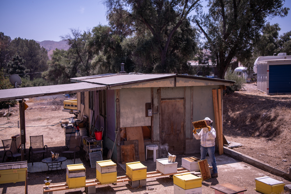 Los Angeles Beekeeper - Portrait and Lifestyle Photography