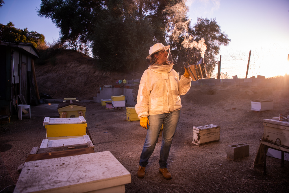 Los Angeles Beekeeper - Portrait and Lifestyle Photography