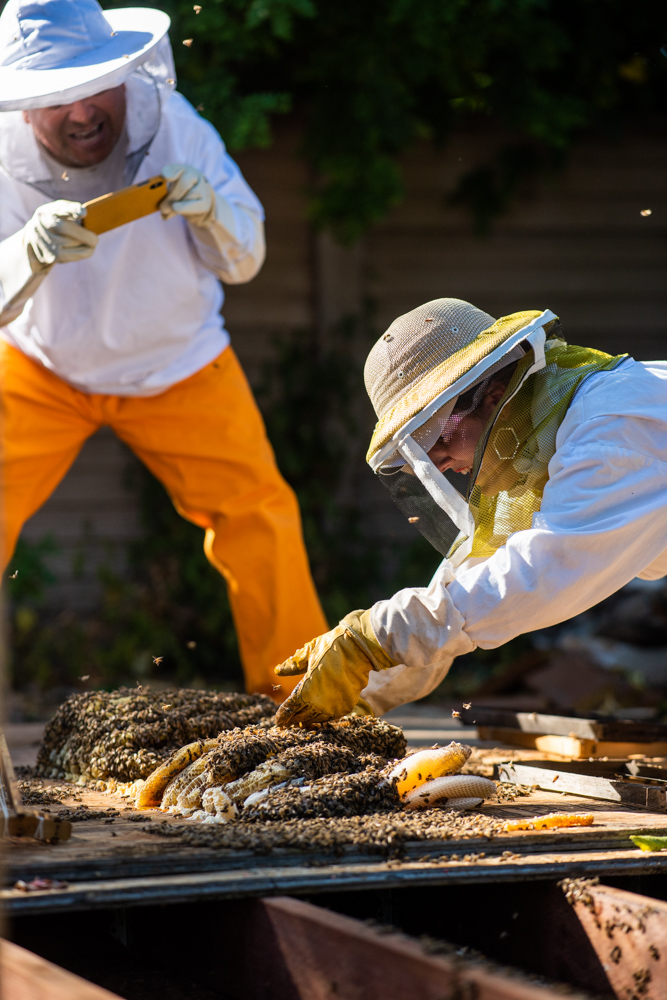 Los Angeles Beekeeper - Portrait and Lifestyle Photography