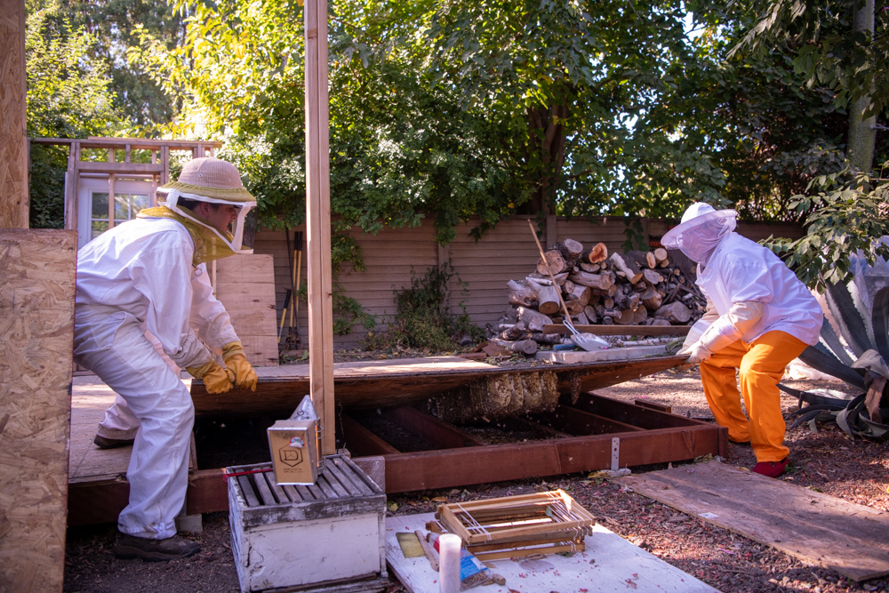 Los Angeles Beekeeper - Portrait and Lifestyle Photography