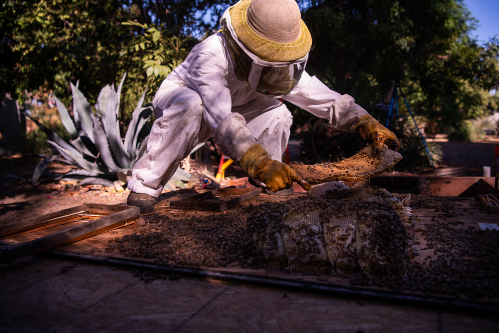 Los Angeles Beekeeper - Portrait and Lifestyle Photography