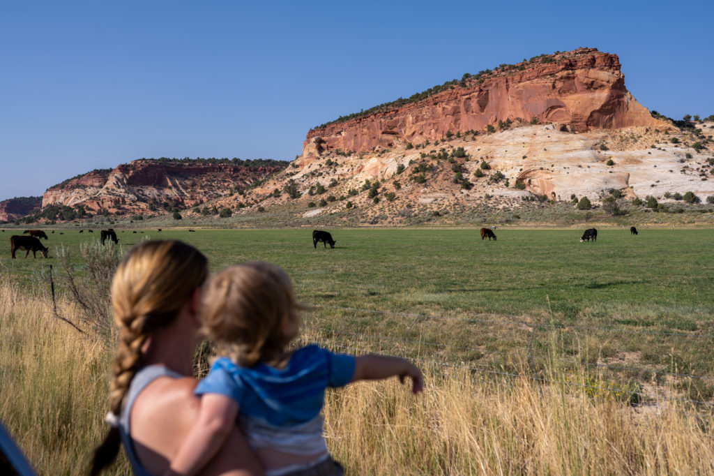 Cow Ranch Kanab Utah