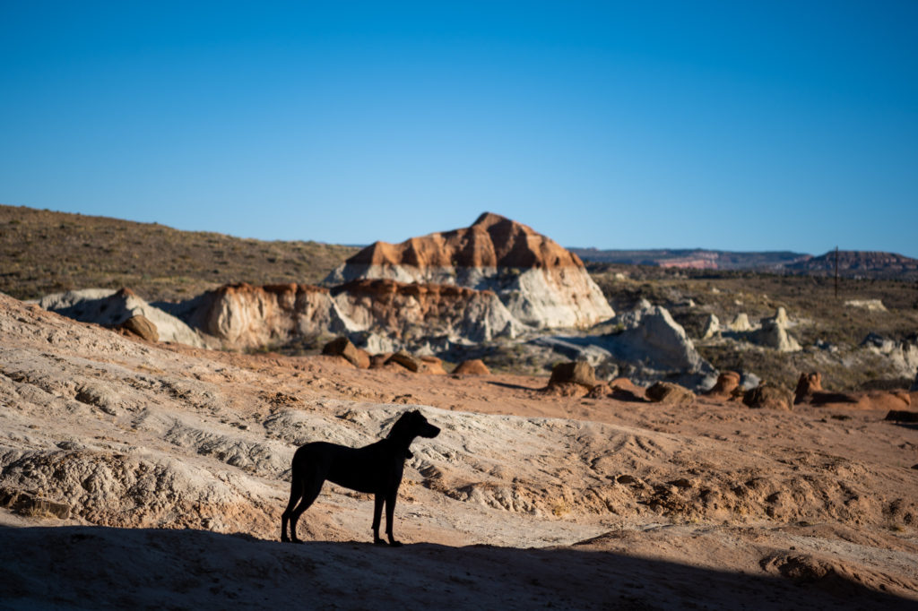 Dog silhouette Toadstool Hoodoos