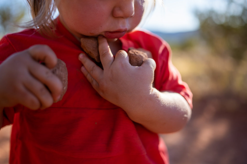 Collecting Rocks Kanab Utah