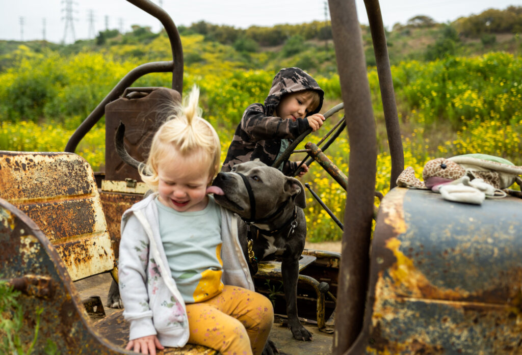 Kids playing with dog on abandoned Jeep in Harmon Canyon Nature Preserve Ventura during superbloom.
